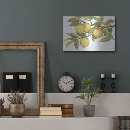 Luxe Metal Art 'Ripe for Picking I' by Tim O'Toole, Metal Wall Art,16x12