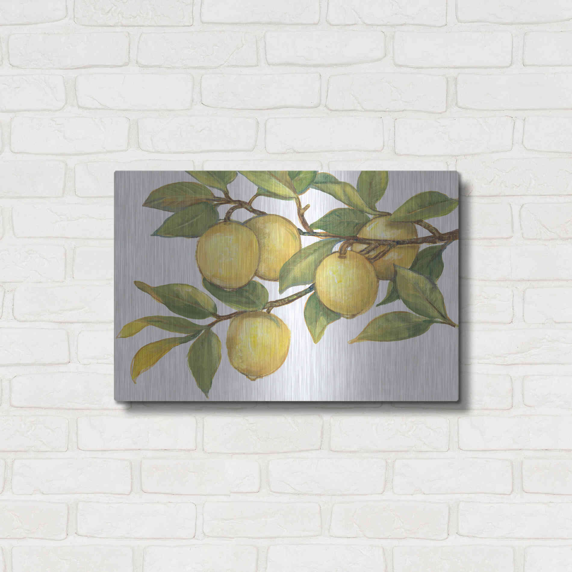 Luxe Metal Art 'Ripe for Picking I' by Tim O'Toole, Metal Wall Art,24x16