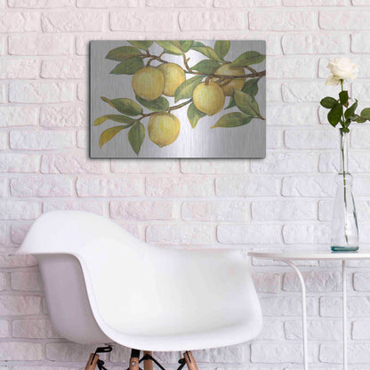 Luxe Metal Art 'Ripe for Picking I' by Tim O'Toole, Metal Wall Art,24x16