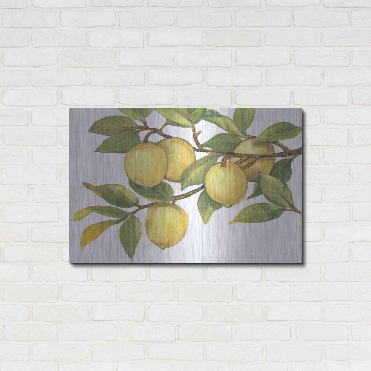 Luxe Metal Art 'Ripe for Picking I' by Tim O'Toole, Metal Wall Art,36x24