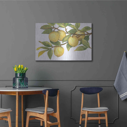 Luxe Metal Art 'Ripe for Picking I' by Tim O'Toole, Metal Wall Art,36x24