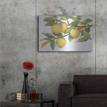 Luxe Metal Art 'Ripe for Picking I' by Tim O'Toole, Metal Wall Art,36x24