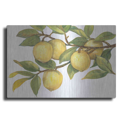 Luxe Metal Art 'Ripe for Picking I' by Tim O'Toole, Metal Wall Art