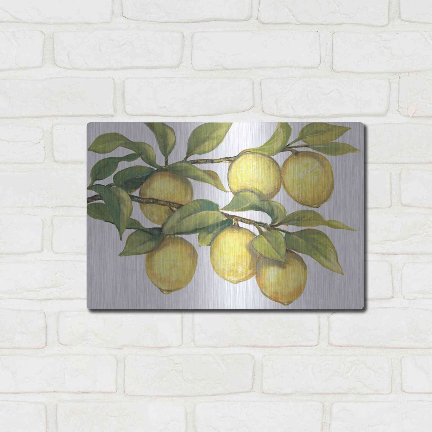 Luxe Metal Art 'Ripe for Picking II' by Tim O'Toole, Metal Wall Art,16x12