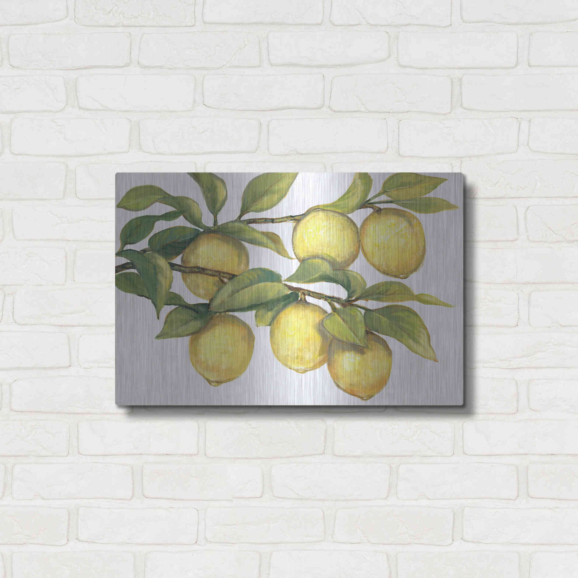 Luxe Metal Art 'Ripe for Picking II' by Tim O'Toole, Metal Wall Art,24x16