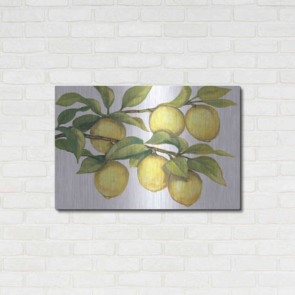 Luxe Metal Art 'Ripe for Picking II' by Tim O'Toole, Metal Wall Art,36x24