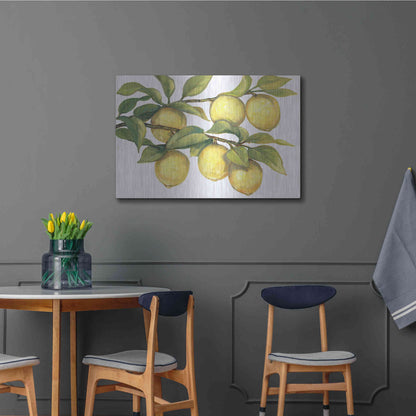 Luxe Metal Art 'Ripe for Picking II' by Tim O'Toole, Metal Wall Art,36x24