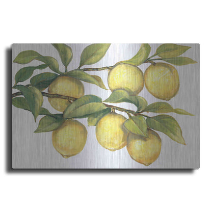 Luxe Metal Art 'Ripe for Picking II' by Tim O'Toole, Metal Wall Art