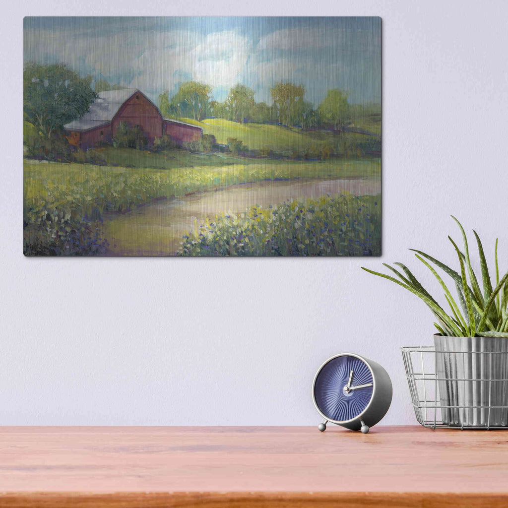 Luxe Metal Art 'Rural America II' by Tim O'Toole, Metal Wall Art,16x12