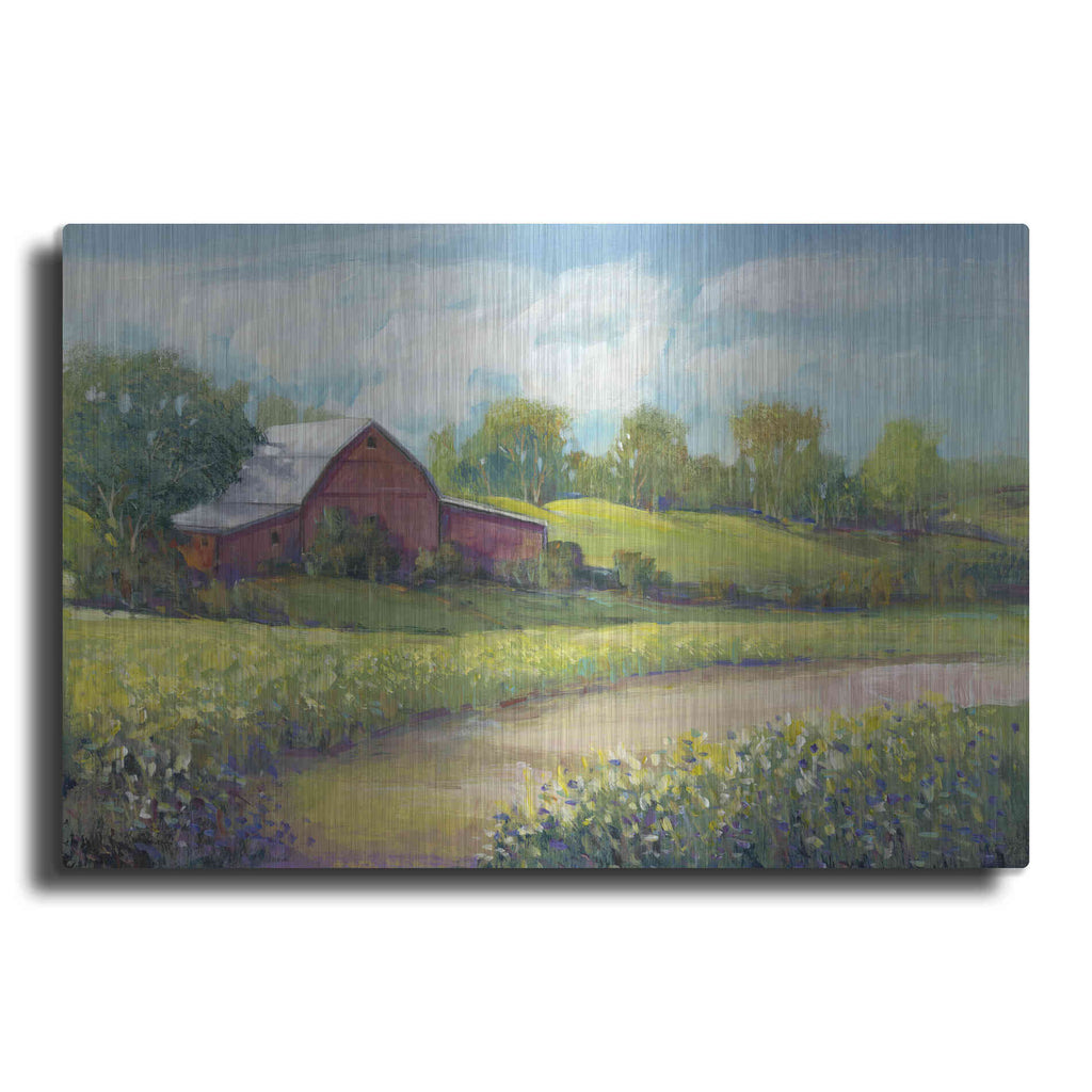 Luxe Metal Art 'Rural America II' by Tim O'Toole, Metal Wall Art