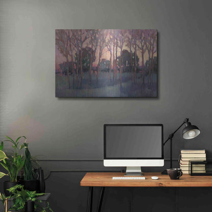 Luxe Metal Art 'Morning Light I' by Tim O'Toole, Metal Wall Art,36x24