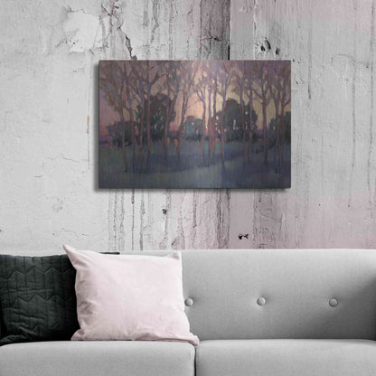 Luxe Metal Art 'Morning Light I' by Tim O'Toole, Metal Wall Art,36x24