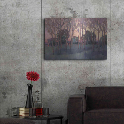 Luxe Metal Art 'Morning Light I' by Tim O'Toole, Metal Wall Art,36x24