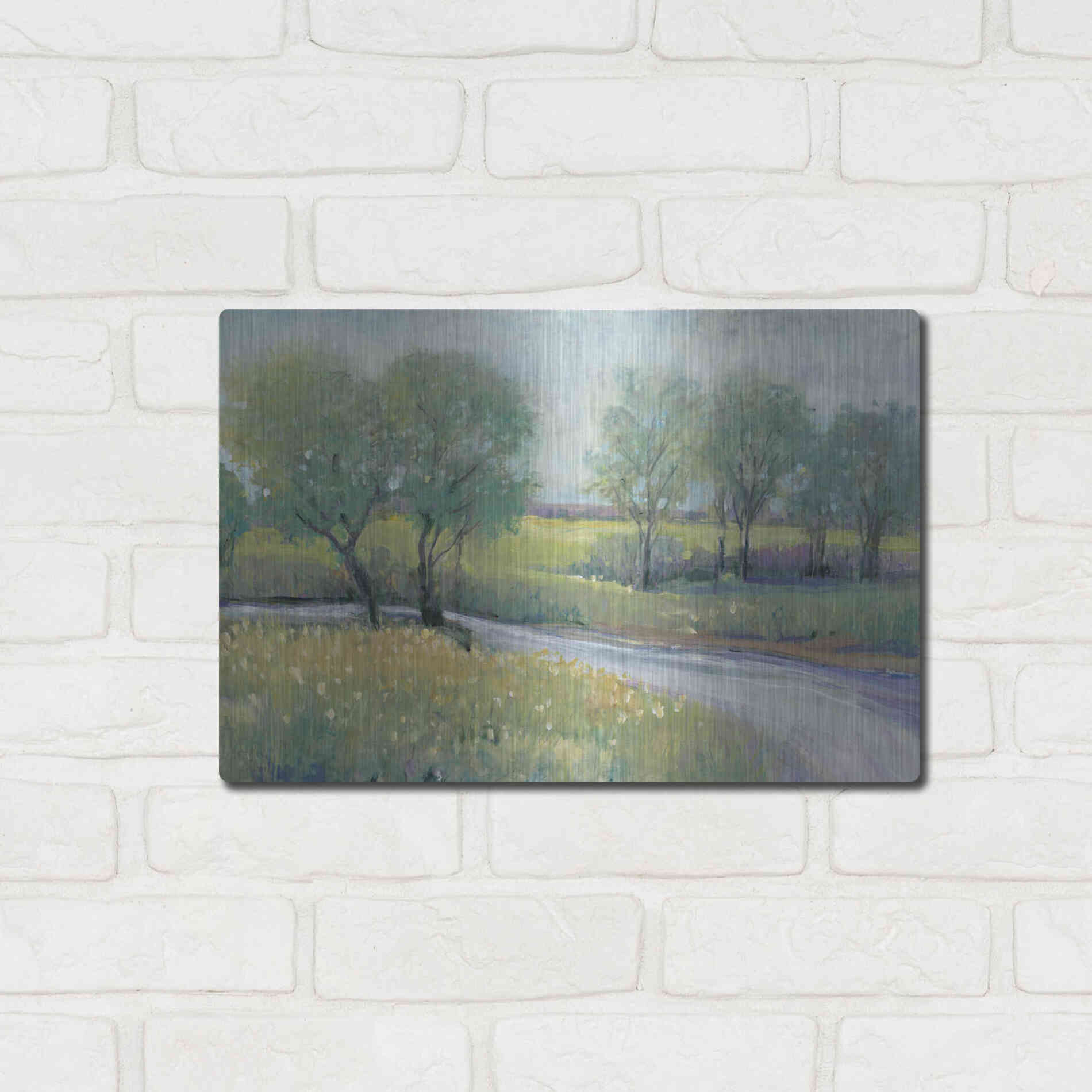 Luxe Metal Art 'Summer Stream I' by Tim O'Toole, Metal Wall Art,16x12