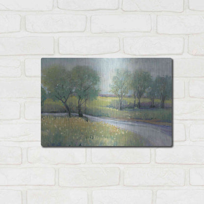 Luxe Metal Art 'Summer Stream I' by Tim O'Toole, Metal Wall Art,16x12