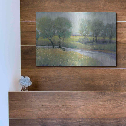 Luxe Metal Art 'Summer Stream I' by Tim O'Toole, Metal Wall Art,16x12