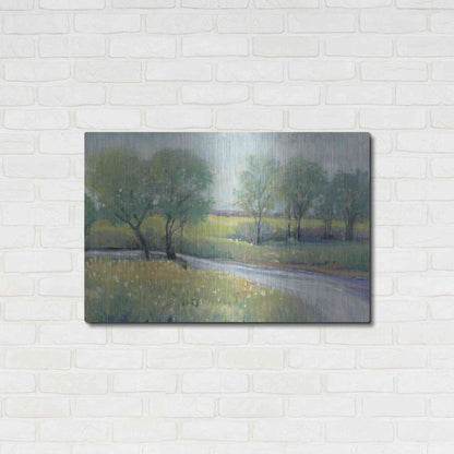 Luxe Metal Art 'Summer Stream I' by Tim O'Toole, Metal Wall Art,36x24