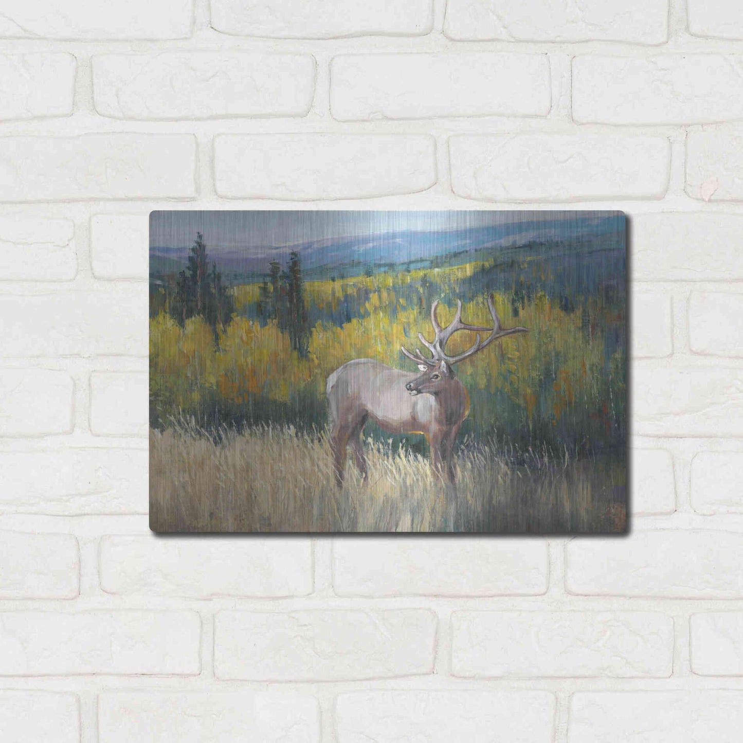 Luxe Metal Art 'View From the Top I' by Tim O'Toole, Metal Wall Art,16x12