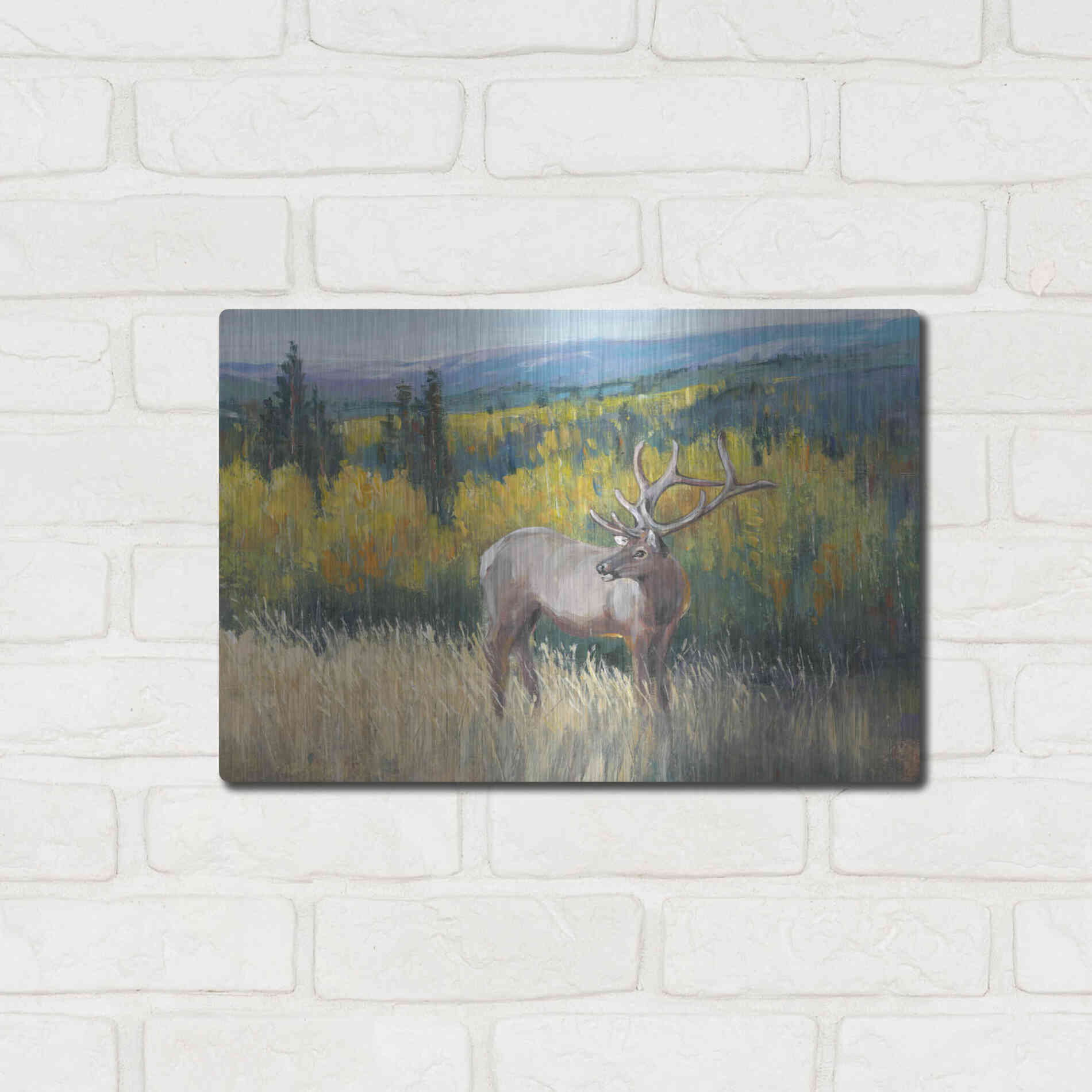 Luxe Metal Art 'View From the Top I' by Tim O'Toole, Metal Wall Art,16x12