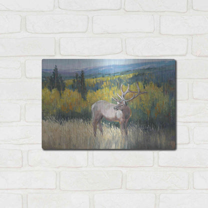 Luxe Metal Art 'View From the Top I' by Tim O'Toole, Metal Wall Art,16x12