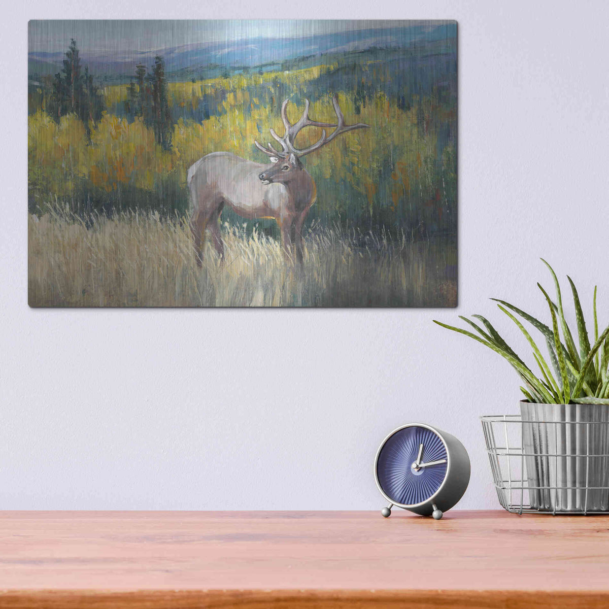 Luxe Metal Art 'View From the Top I' by Tim O'Toole, Metal Wall Art,16x12