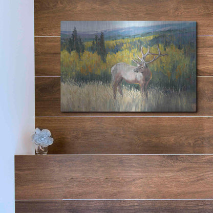 Luxe Metal Art 'View From the Top I' by Tim O'Toole, Metal Wall Art,16x12