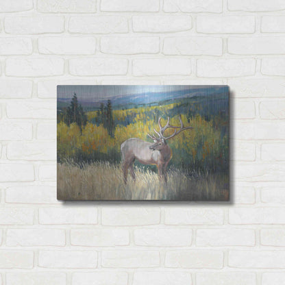 Luxe Metal Art 'View From the Top I' by Tim O'Toole, Metal Wall Art,24x16