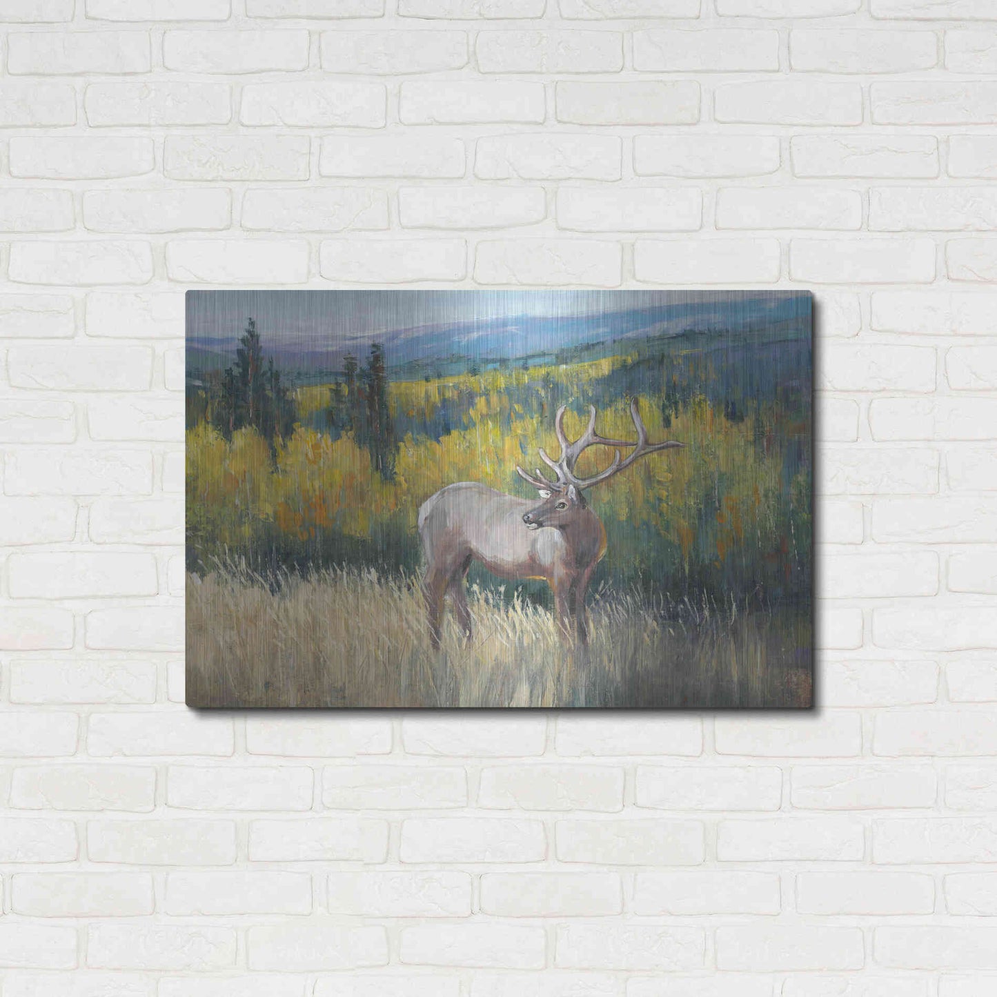 Luxe Metal Art 'View From the Top I' by Tim O'Toole, Metal Wall Art,36x24