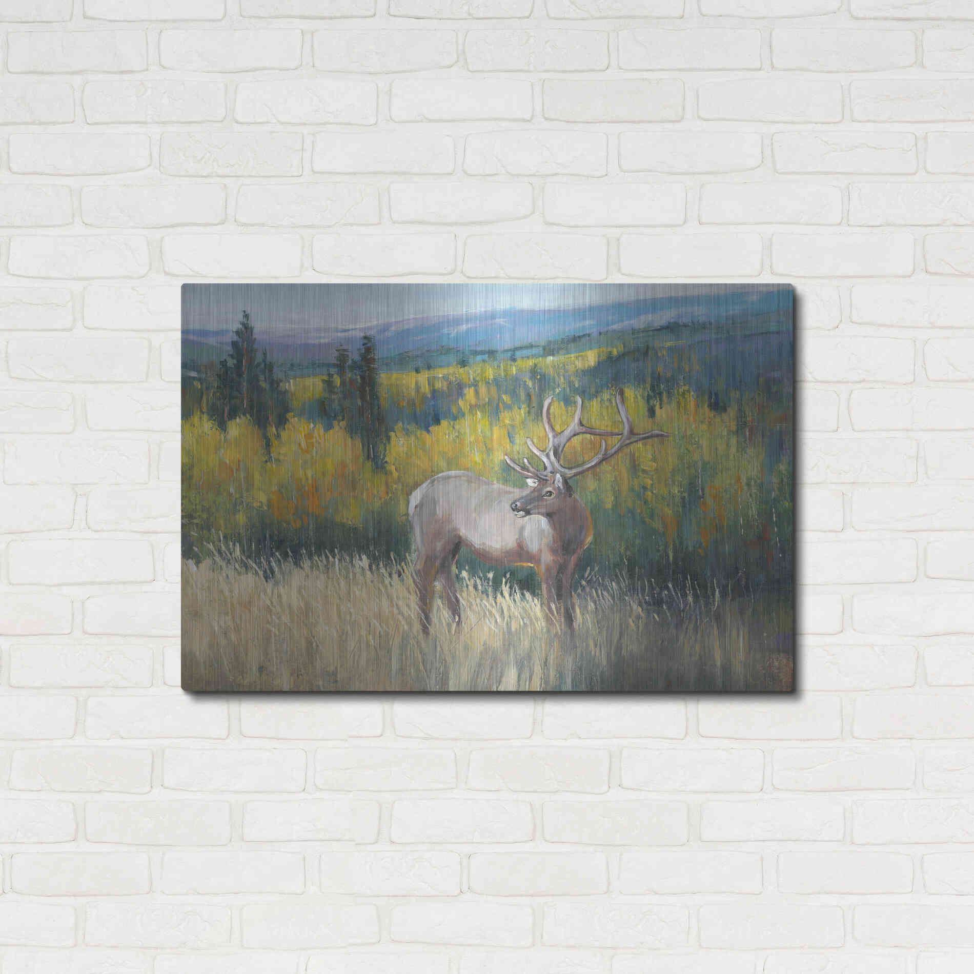 Luxe Metal Art 'View From the Top I' by Tim O'Toole, Metal Wall Art,36x24