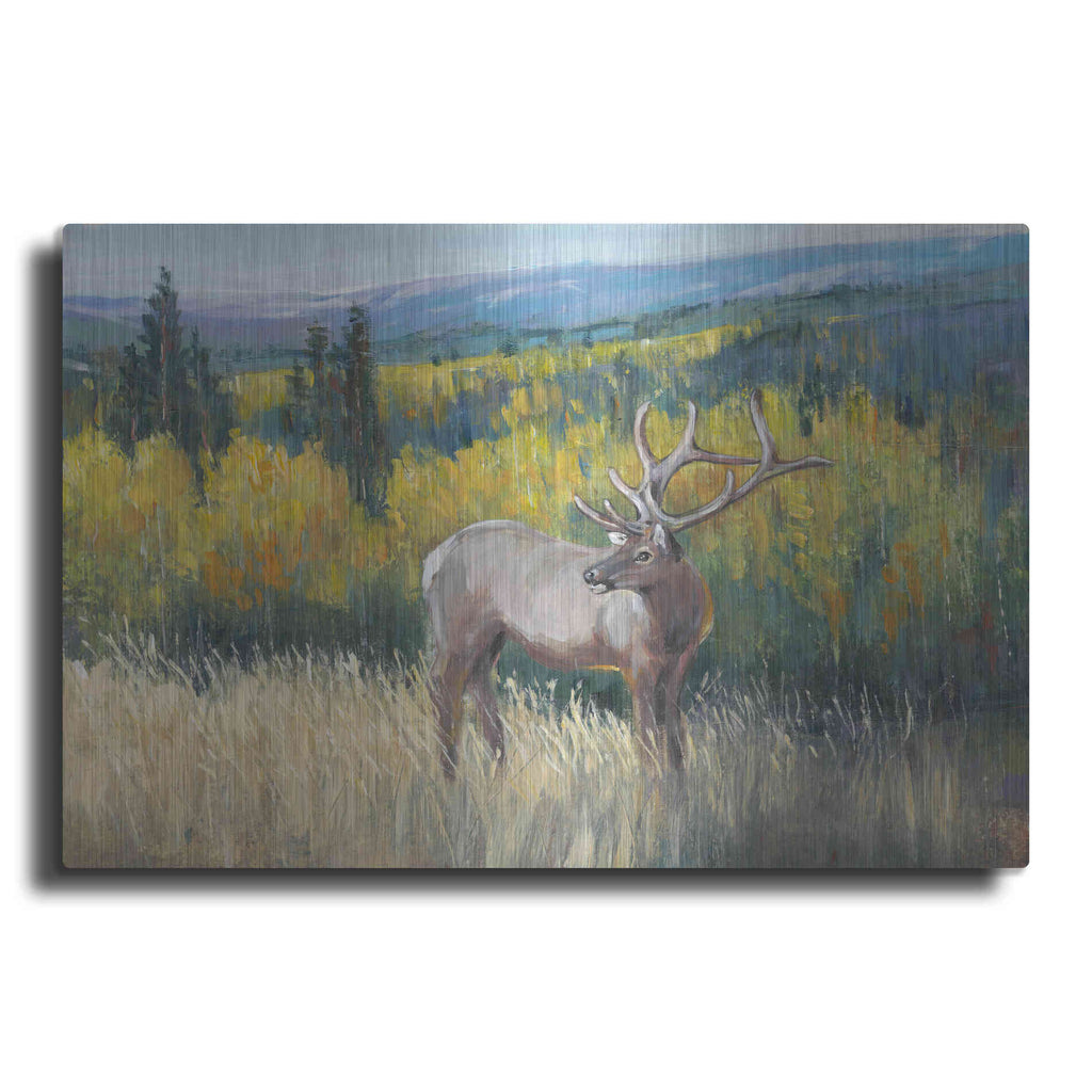 Luxe Metal Art 'View From the Top I' by Tim O'Toole, Metal Wall Art