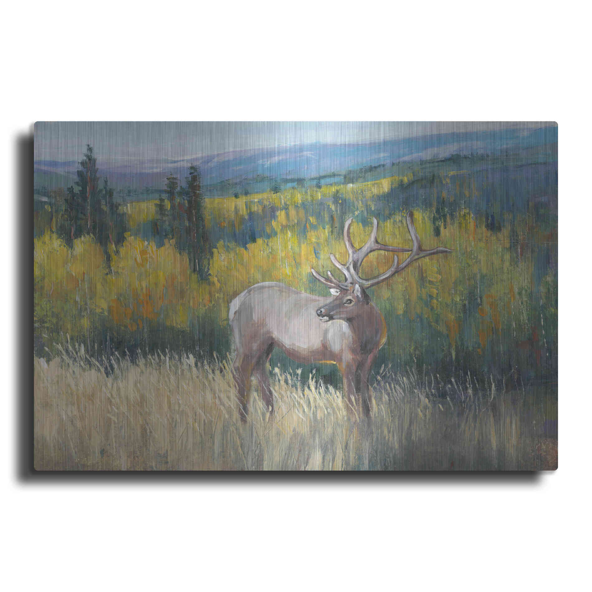 Luxe Metal Art 'View From the Top I' by Tim O'Toole, Metal Wall Art