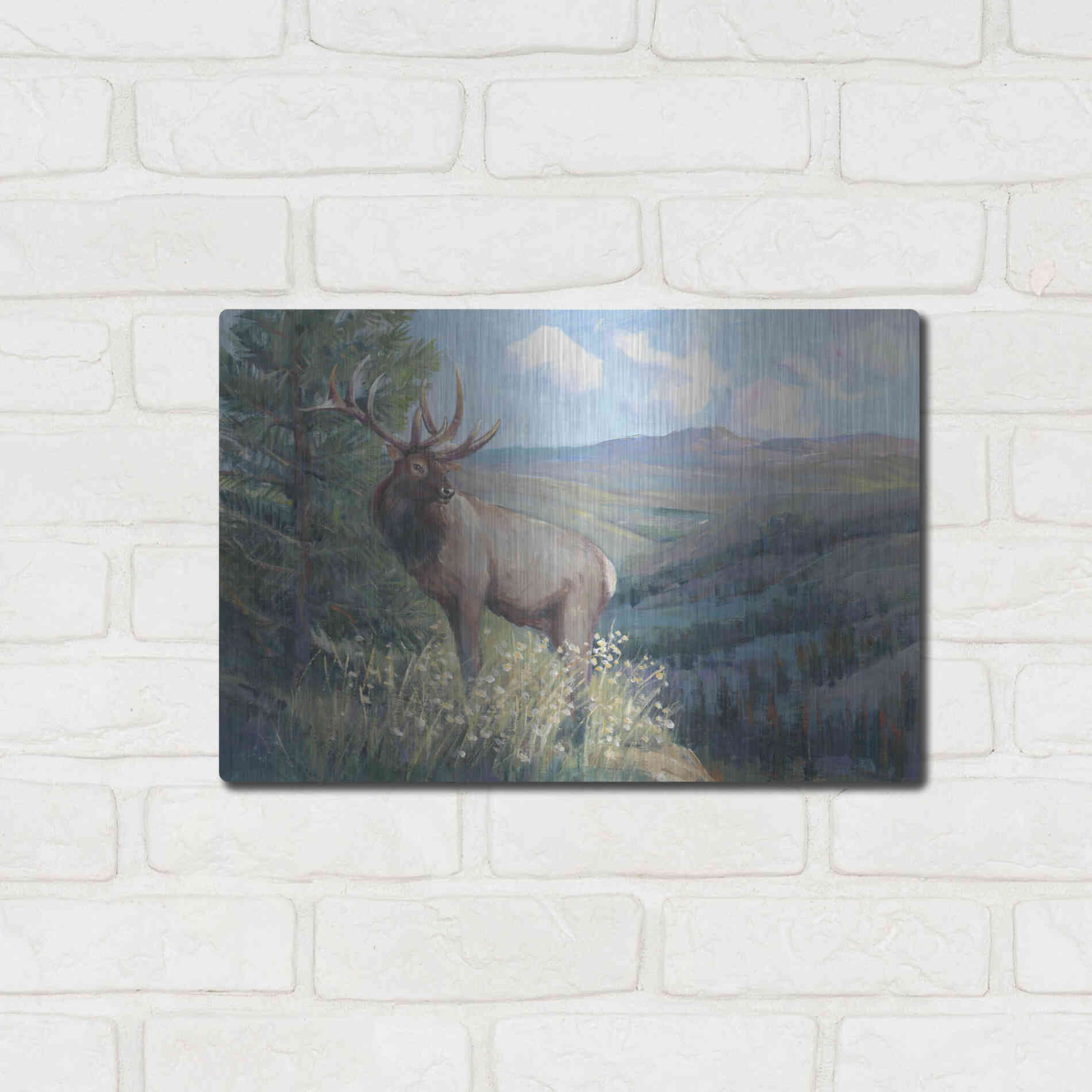 Luxe Metal Art 'View From the Top II' by Tim O'Toole, Metal Wall Art,16x12