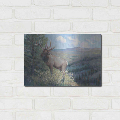 Luxe Metal Art 'View From the Top II' by Tim O'Toole, Metal Wall Art,16x12