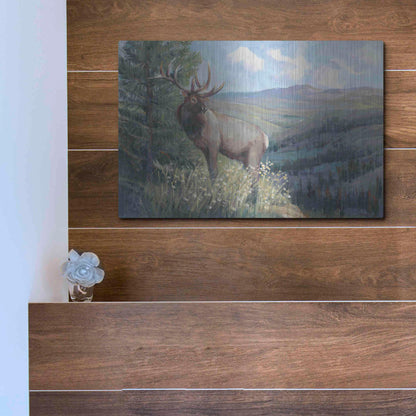 Luxe Metal Art 'View From the Top II' by Tim O'Toole, Metal Wall Art,16x12