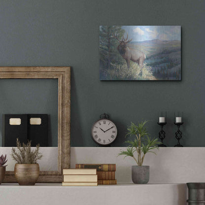 Luxe Metal Art 'View From the Top II' by Tim O'Toole, Metal Wall Art,16x12