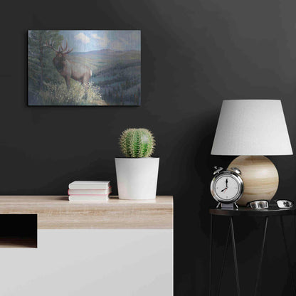 Luxe Metal Art 'View From the Top II' by Tim O'Toole, Metal Wall Art,24x16