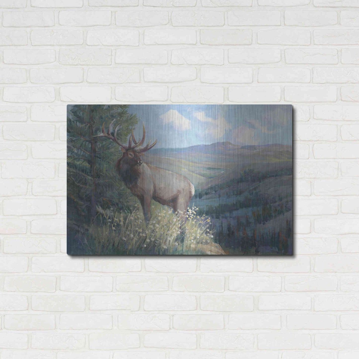 Luxe Metal Art 'View From the Top II' by Tim O'Toole, Metal Wall Art,36x24