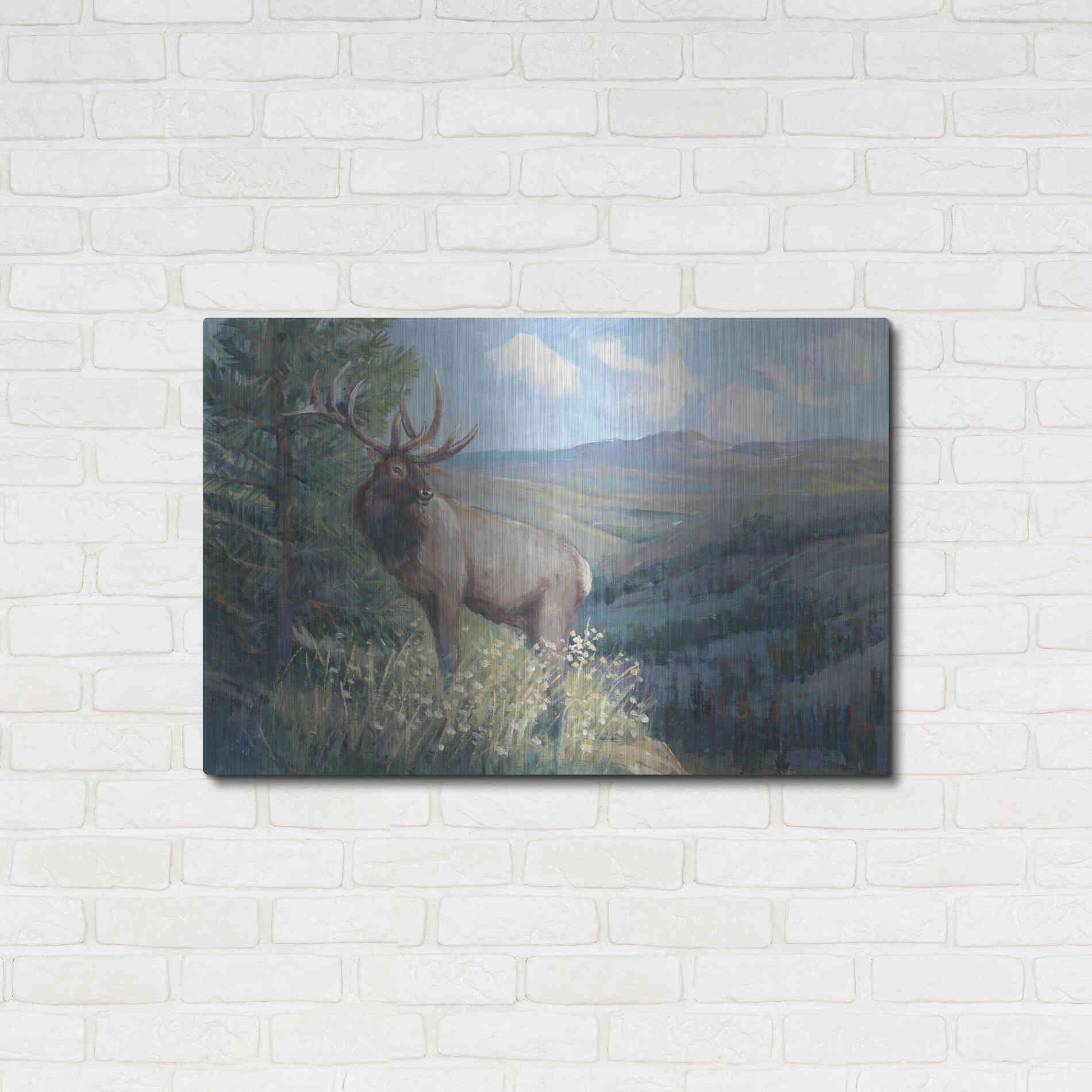 Luxe Metal Art 'View From the Top II' by Tim O'Toole, Metal Wall Art,36x24