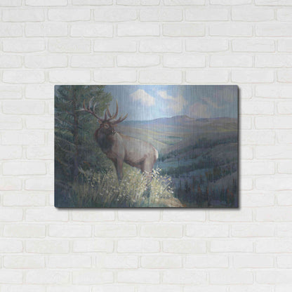 Luxe Metal Art 'View From the Top II' by Tim O'Toole, Metal Wall Art,36x24