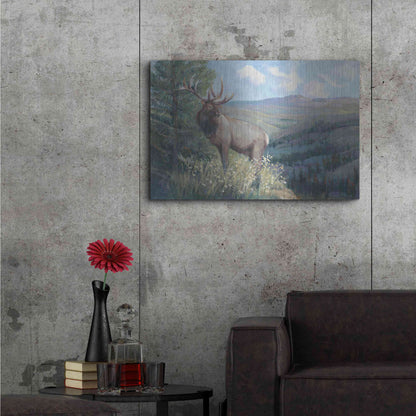 Luxe Metal Art 'View From the Top II' by Tim O'Toole, Metal Wall Art,36x24