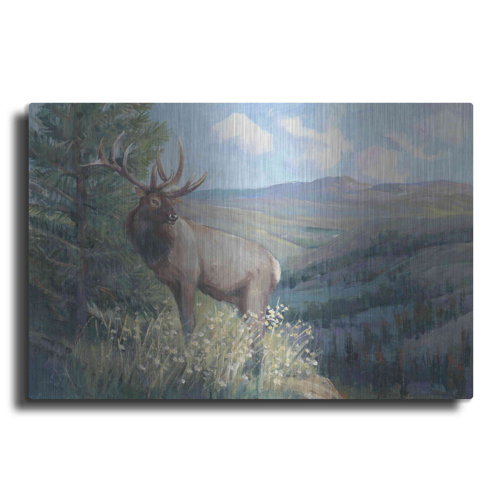 Luxe Metal Art 'View From the Top II' by Tim O'Toole, Metal Wall Art