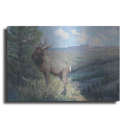 Luxe Metal Art 'View From the Top II' by Tim O'Toole, Metal Wall Art