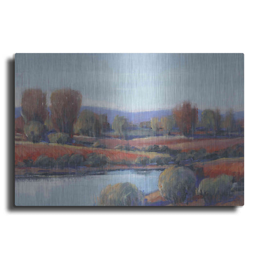 Luxe Metal Art 'Hidden Creek I' by Tim O'Toole, Metal Wall Art