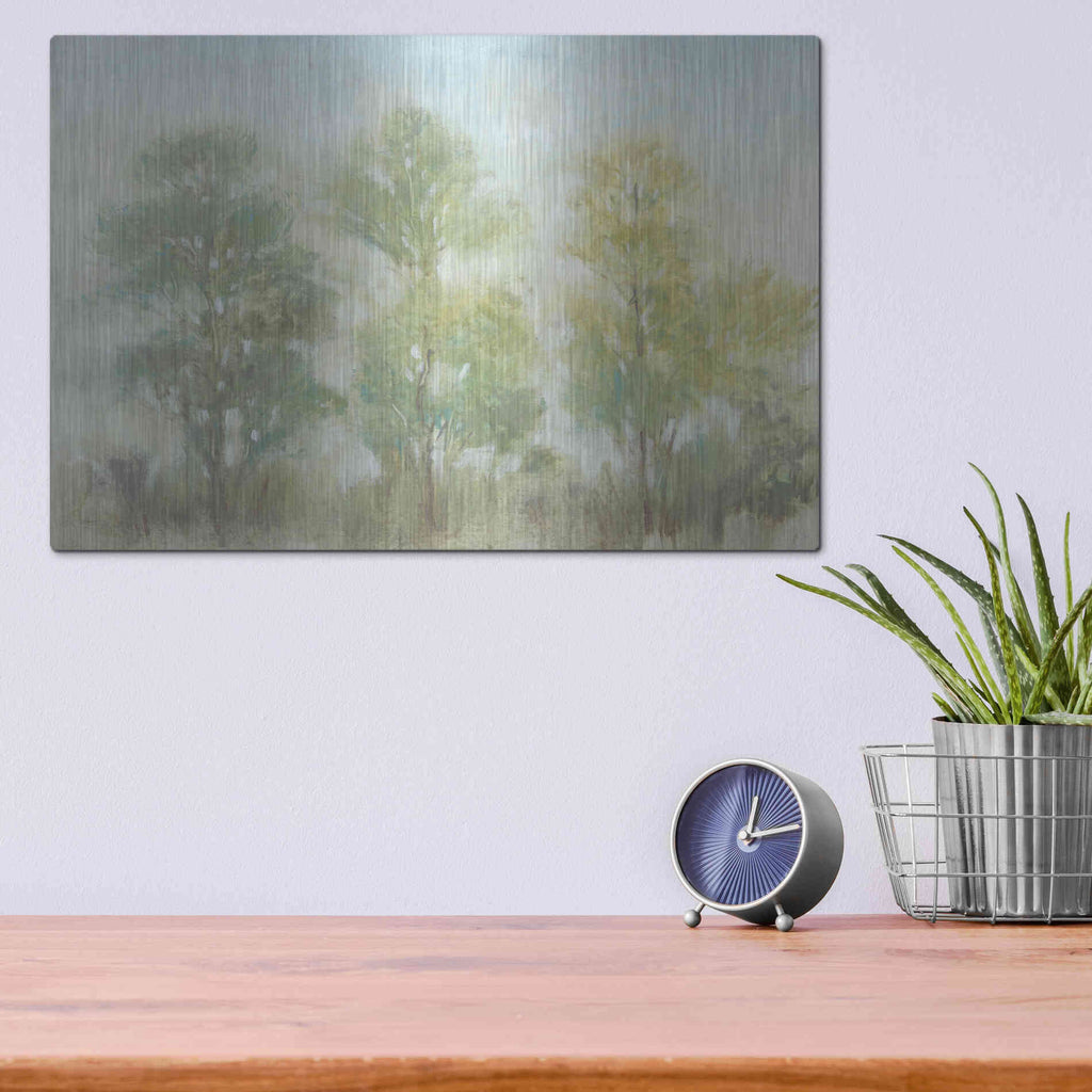 Luxe Metal Art 'Muted Trees II' by Tim O'Toole, Metal Wall Art,16x12