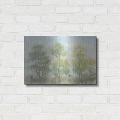 Luxe Metal Art 'Muted Trees II' by Tim O'Toole, Metal Wall Art,24x16