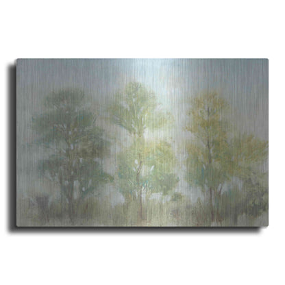 Luxe Metal Art 'Muted Trees II' by Tim O'Toole, Metal Wall Art
