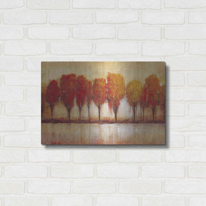 Luxe Metal Art 'Autumn Water's Edge' by Tim O'Toole, Metal Wall Art,24x16