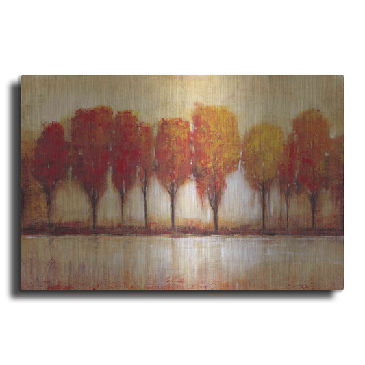 Luxe Metal Art 'Autumn Water's Edge' by Tim O'Toole, Metal Wall Art