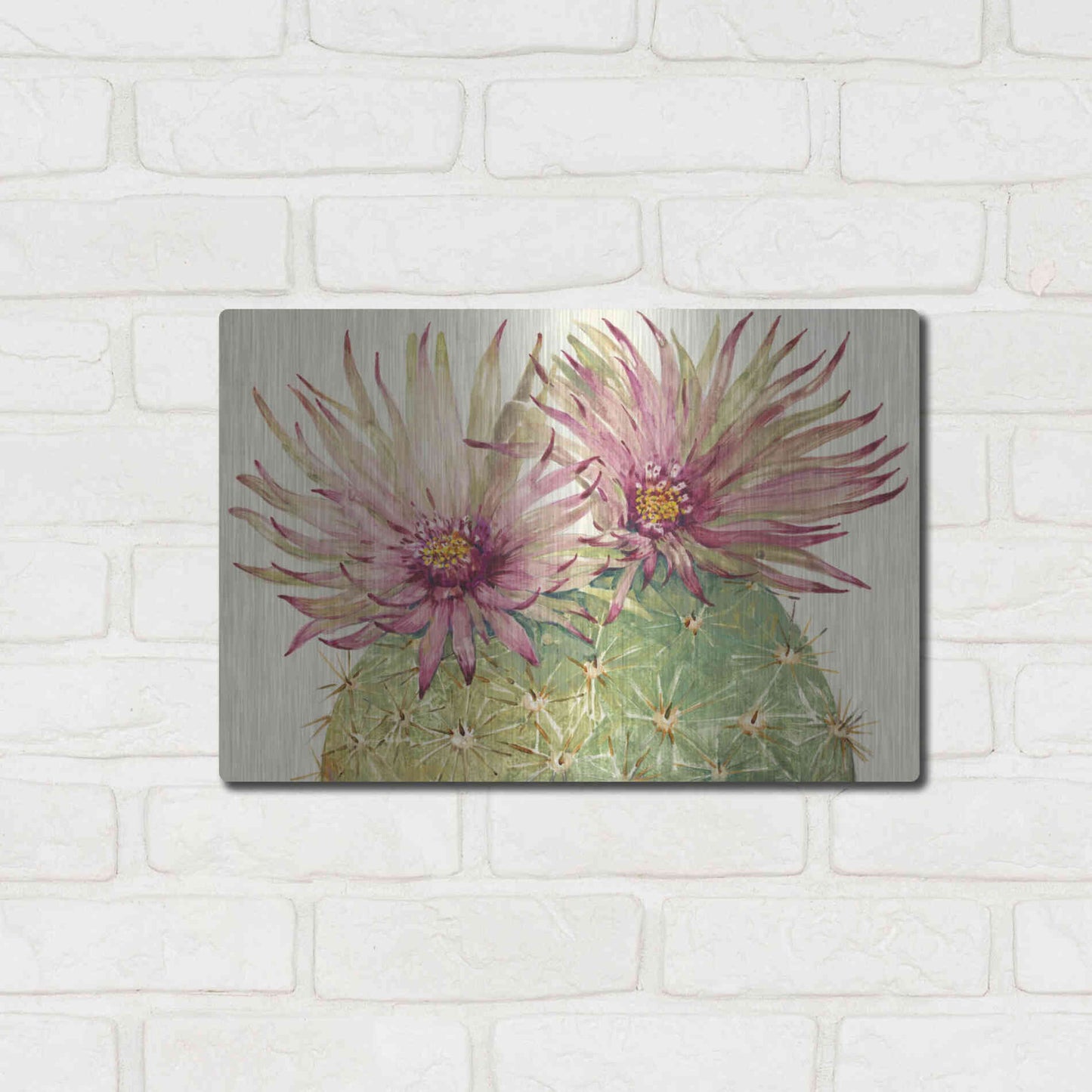 Luxe Metal Art 'Cactus Blossoms I' by Tim O'Toole, Metal Wall Art,16x12