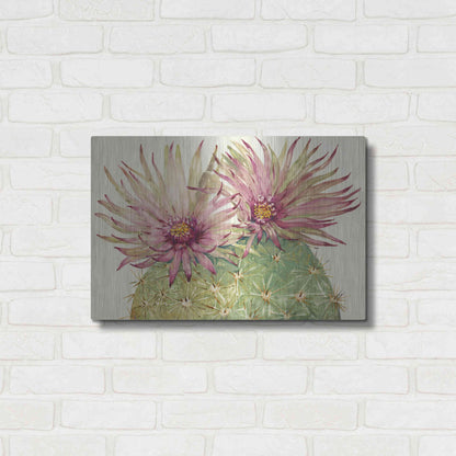 Luxe Metal Art 'Cactus Blossoms I' by Tim O'Toole, Metal Wall Art,24x16